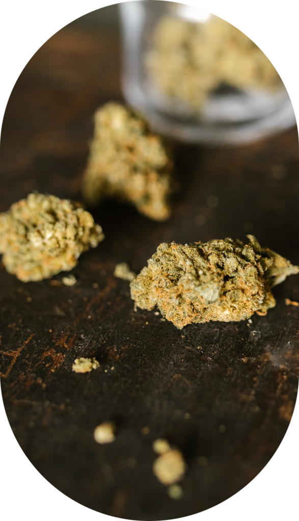 vista cercana de flores de cannabis